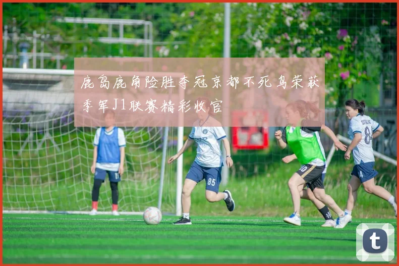 鹿岛鹿角险胜夺冠京都不死鸟荣获季军J1联赛精彩收官