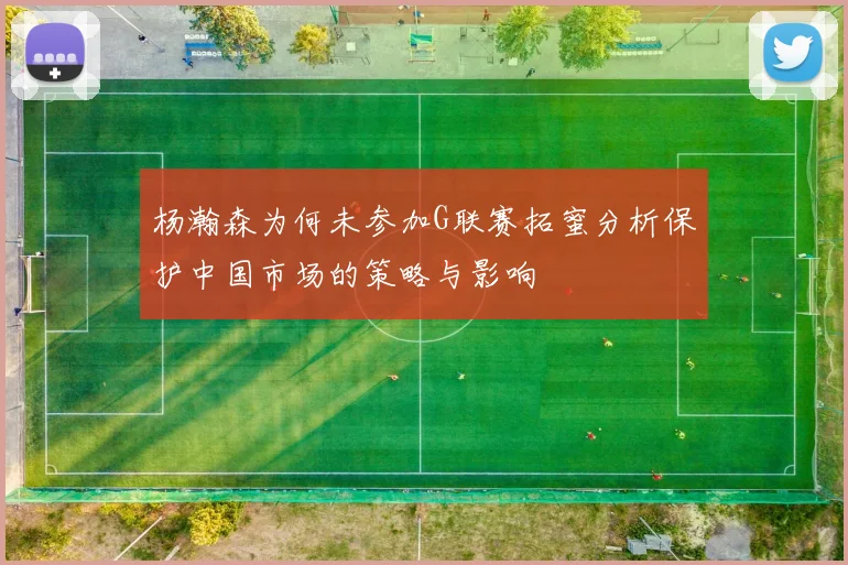 杨瀚森为何未参加G联赛拓蜜分析保护中国市场的策略与影响