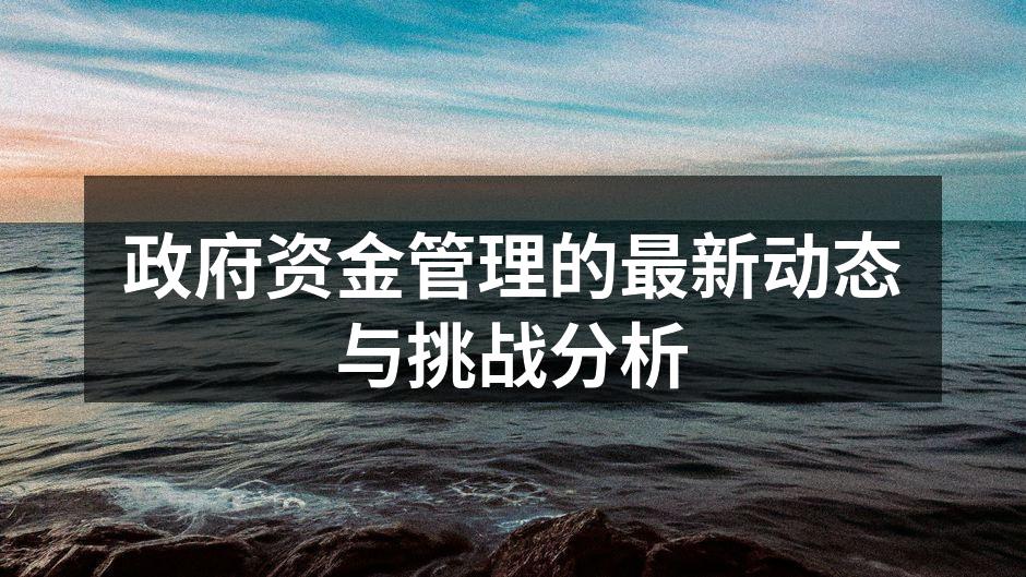 政府资金管理的关键环节