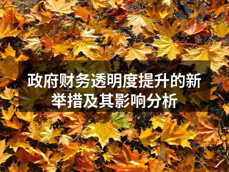 政府财务透明度提升的新举措及其影响分析