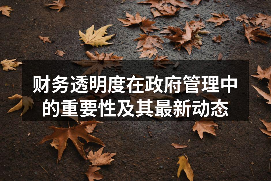 财务透明度提升示意图